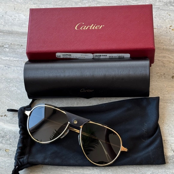 Cartier Santos De Cartier Sunglasses - Picture 1 of 9